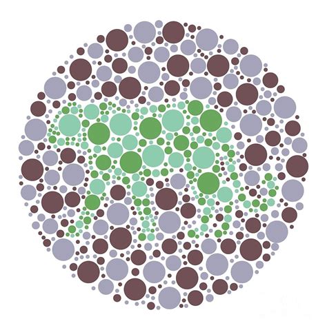 Colour Blindness Test Chart Photograph By Chongqing Tumi Technology Ltd