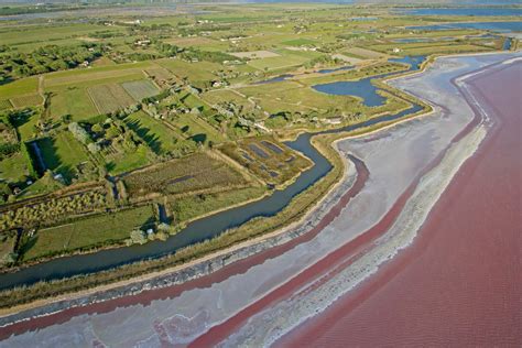 Lutilisation Des Labels Sur Un Territoire De Projets En Occitanie