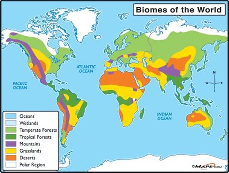 Desert Biome Climate