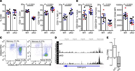 Figure 4 From The X Linked Histone Demethylase Kdm6a In Cd4 T