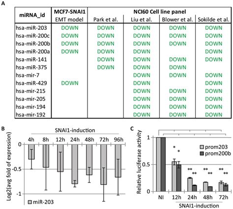 Large Scale Analysis Of Mirna Expression Signatures And Mir