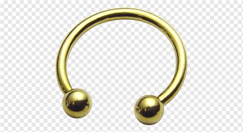 Barbell Body Jewellery V Cut Piercingi Burun Piercingi Halter Alt N