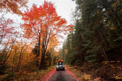 Best Off The Beaten Path Fall Foliage Finds | Saranac Lake, Adirondacks ...