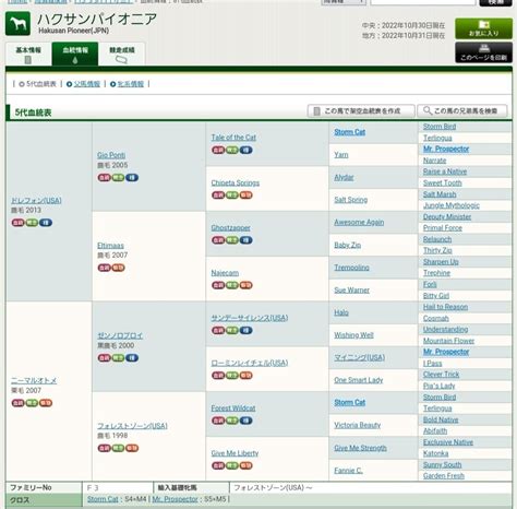 4回東京9日 1r 2歳未勝利 2歳未勝利 馬齢 ダ左1400m 14頭 ｜オルフェインパクト