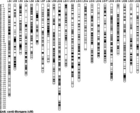 Recombination Rate Of Shared Markers Between Sex Specific Maps And