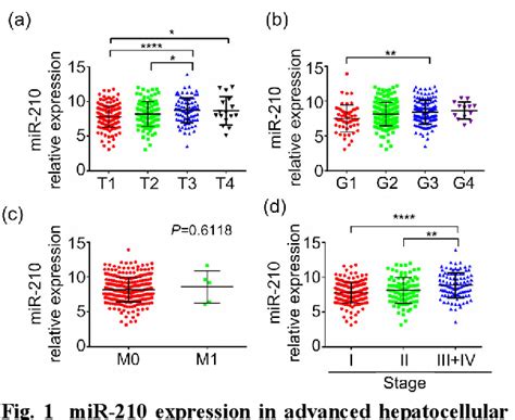 Figure 1 From Integrated Analysis Of Hypoxia Induced Mir 210 Signature