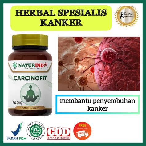 Jual Obat Kanker Benjolan Payudara Obat Kanker Serviks Prostat Tumor