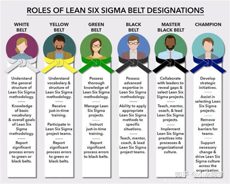 Section 1 Lean Six Sigma White Yellow Belt course introduction 知乎