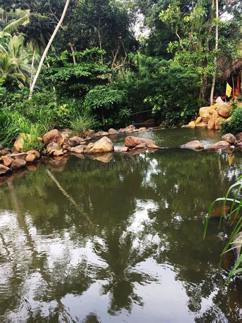Natural Water Pool In Sri Lankan Village Stock Photo Image Of Natural