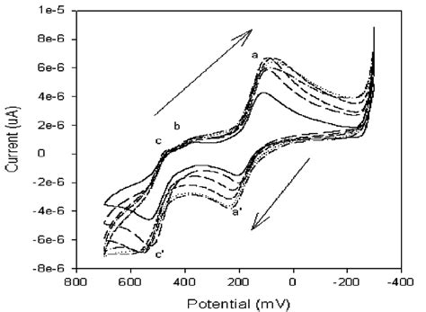 Multi Scan Cyclic Voltammograms Cv Of Pt Pdma Psa In M Hcl At C