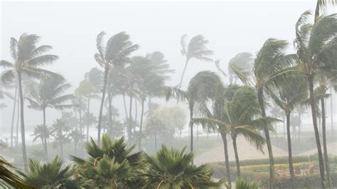 Cyclone Belal La Réunion et l île Maurice face au déluge mesinfos