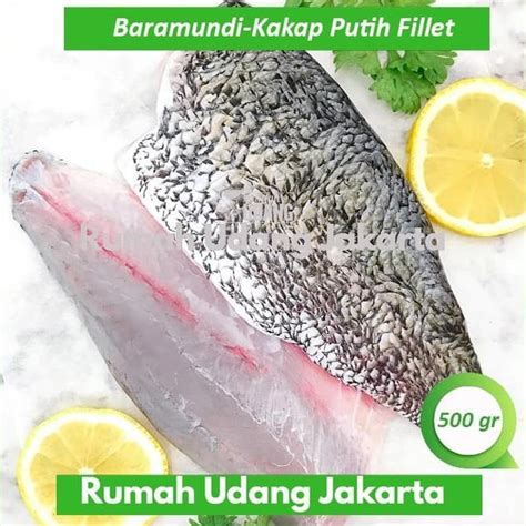 Jual Ikan Barramundi Kakap Putih Fillet Premium Kemasan Vacum Gr