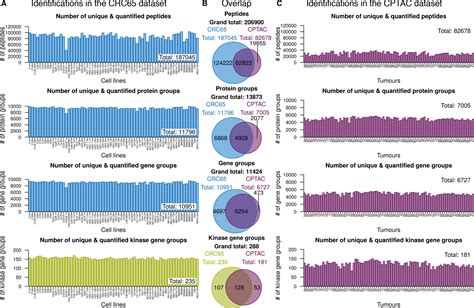 Pharmacoproteomic Characterisation Of Human Colon And Rectal Cancer