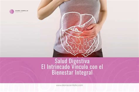 Salud Digestiva El Intrincado Vínculo Con El Bienestar Integral