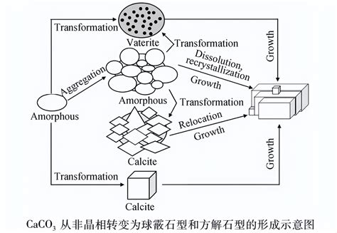 Preparation Method And Research Progress Of Vaterite Calcium Carbonate