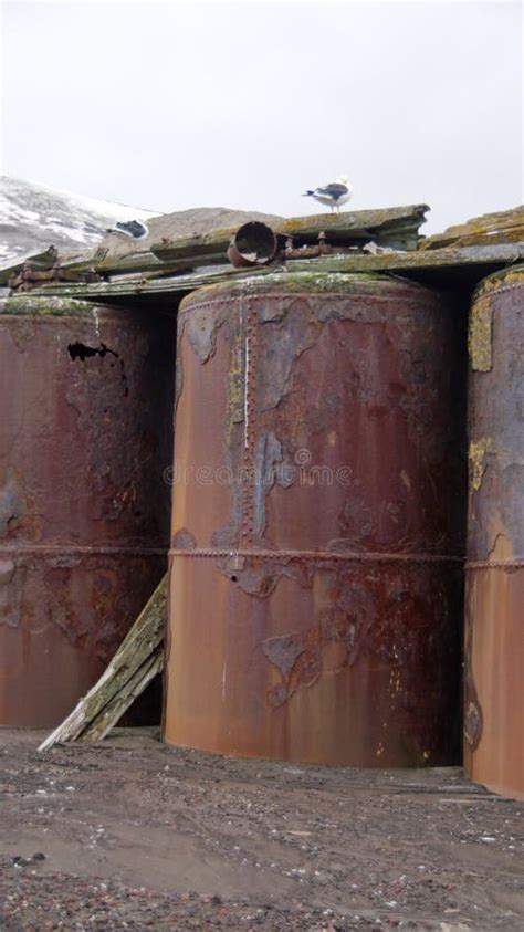 Old Whale Oil Tanks In Antarctica Stock Image Image Of Cold Whaling