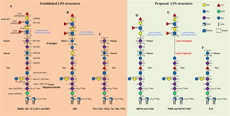 Established And Proposed Lipopolysaccharide LPS Structures In Western