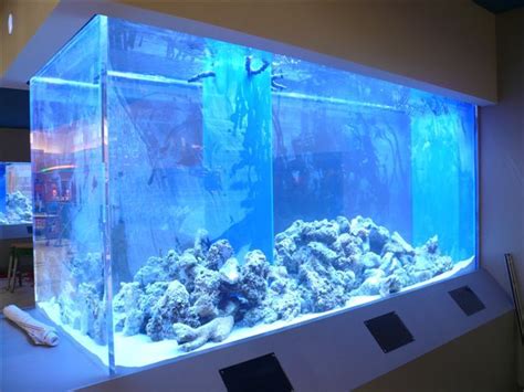 Extra Large Aquariums Huge Aquariums Big Fish Tanks Fish Tank