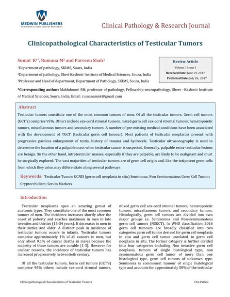 Pdf Clinicopathological Characteristics Of Testicular Tumors · Pdf