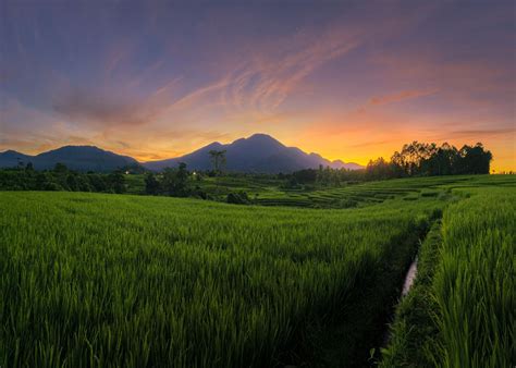 The View Of The Circle Of Rice Terraces Smithsonian Photo Contest