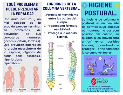 Tips Utiles Higiene De Columna Higiene Postural Actividad Fisica Y