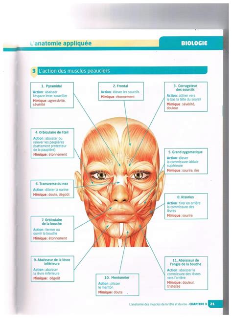 L Anatomie Appliqu E En Cap Esth Tique Justmathilde