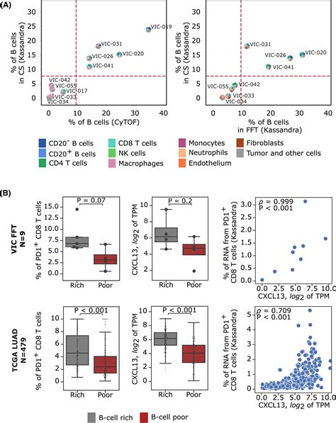 B Celldependent Subtypes And Treatmentbased Immune Correlates To