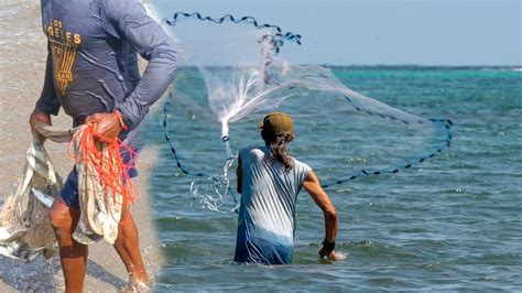 Unbelievable Cast Net Fishing In Sea Fishing Lot Of Fish Video Fish