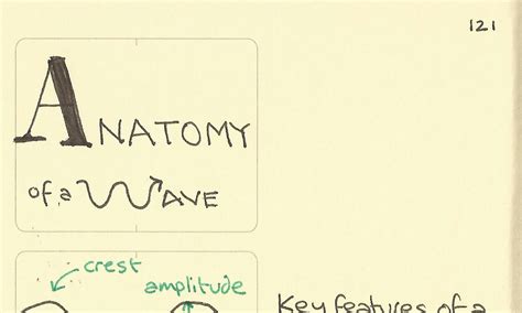 Typical Gastropod Anatomy Sketchplanations