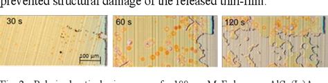 Figure 3 From Thin Film Solar Cells With Mgf2 Ag Back Mirror Patterning