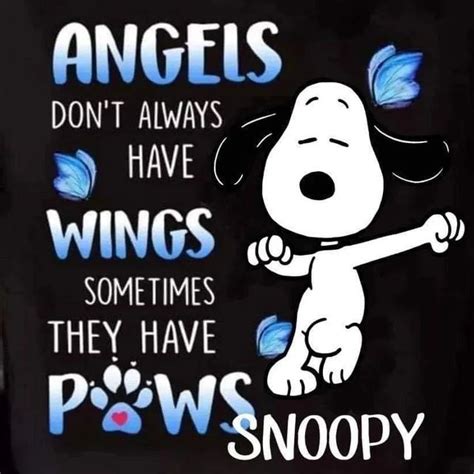 Snoopy On Instagram Adorable Snoopy Snoopy Peanuts