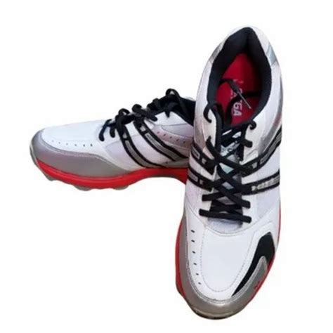 Sega Glide Cricket Shoes At Best Price In Jalandhar By Manik Collection