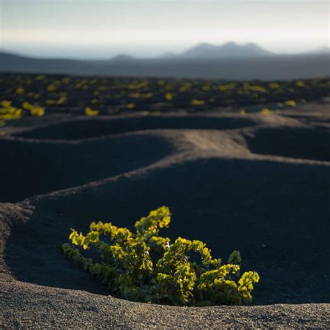 Descubre Lo Mejor De Lanzarote Viajes National Geographic