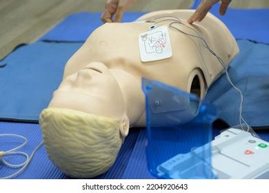 Demonstrating Cpr Cardiopulmonary Resuscitation Training Medical Stock