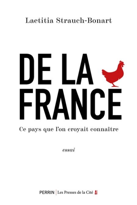 Avis sur le livre De la France Ce pays que lon croyait connaître