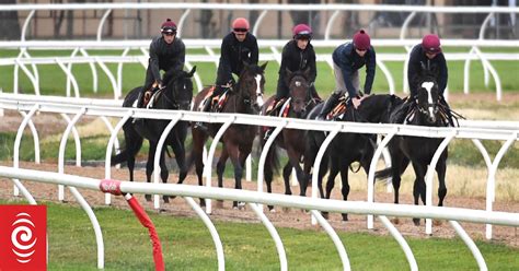 Nz Jockeys And Horses Ensure Kiwi Interest In Melbourne Cup Rnz News