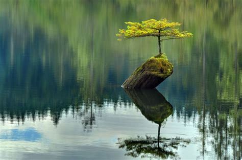 Amazing And Beautiful Things Around Us 75 Pics