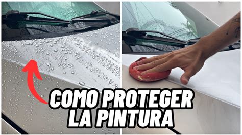 COMO PROTEGER LA PINTURA DE TU AUTO COMO ENCERAR UN AUTO CERA