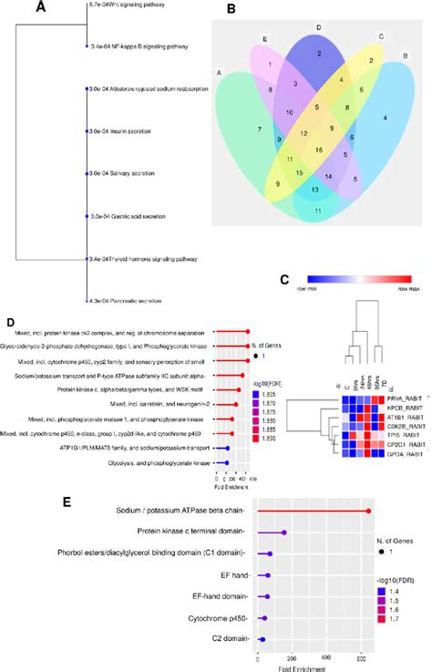 A Kegg Hierarchical Clustering Tree Summarizing The Correlation