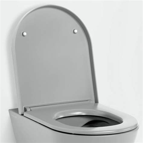 Kartell LAUFEN Abattant WC Amovible Gris Mat H8913327590001 REUTER