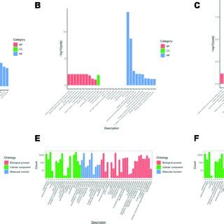 Gene Ontology Go Enrichment Analysis Of Differentially Expressed