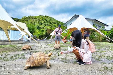 宜蘭冬山景點【慢吞吞農場】全新開幕動物農場 象龜、浣熊、柯爾鴨、垂耳兔都可以餵食 兔兒毛毛姊妹花