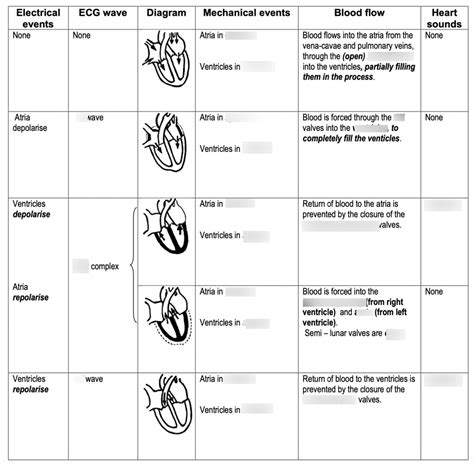 Cardiac Cycle Diagram Quizlet