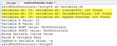 Shell Scripting Tutorial Variables Global And Local Variables