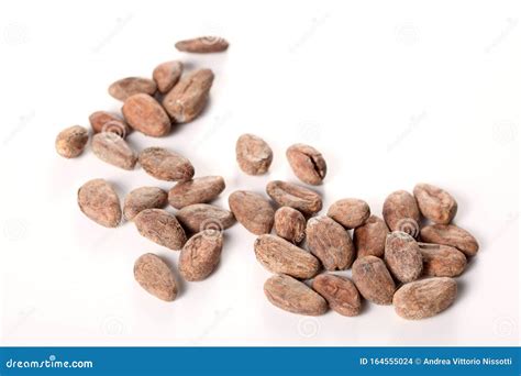 Raw Cocoa Beans Isolated On White Background With Copy Space For Your