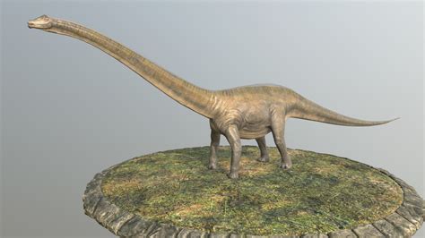 Diplodocus 3d Model By Yode Yodegroup 8425726 Sketchfab