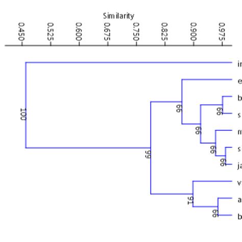 Bray Curtis Similarity Index Based Dendrogram For Comparing Similarity