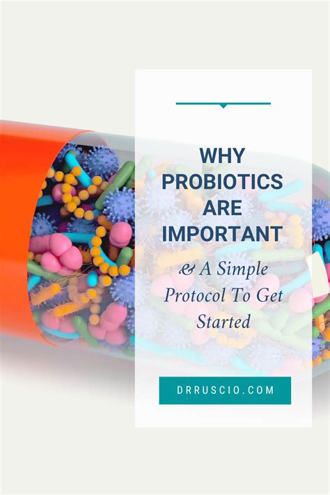 Why Probiotics Are Important And A Simple Protocol To Get Started Dr Michael Ruscio Bcdnm Dc