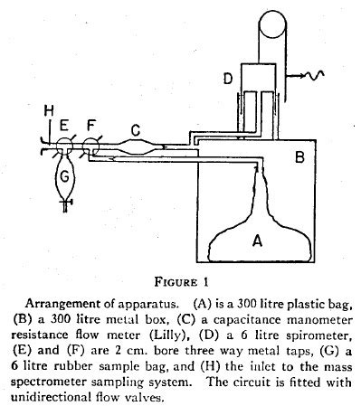 Dlco Single Breath Pft History