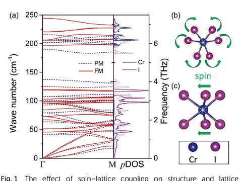 Giant E Ect Of Spinlattice Coupling On The Thermal Transport In Two